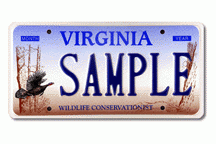 Plato de pavo de vida silvestre